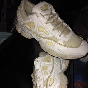 RAF Simons Ozweego 3